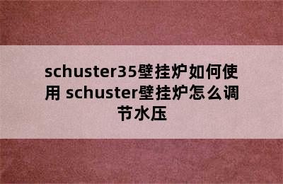 schuster35壁挂炉如何使用 schuster壁挂炉怎么调节水压